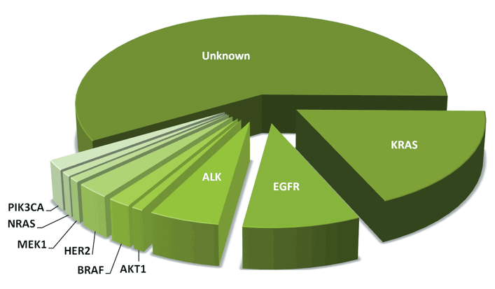 lung-cancer-Targeted-Therapy-Pie-Chart-1